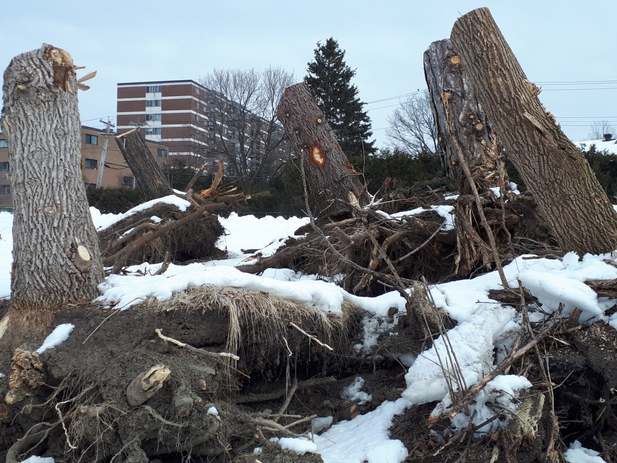 Walk with me&nbsp;#3